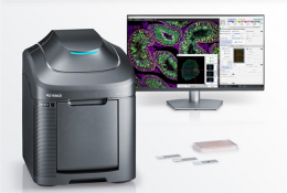 KEYENCE 基恩士 一體化熒光顯微成像系統(tǒng)  BZ-X1000 系列